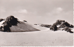 AK Sylt - Wanderdüne (12328) - Sylt