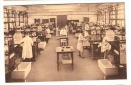 Belgique - Université Bruxelles - Faculté Des Sciences - Chimie : Un Laboratoire - Bildung, Schulen & Universitäten