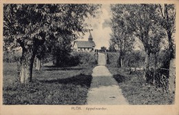 PLÖN - APPELWARDER - ANNÉE / YEAR ~ 1910 - '15 (r-703) - Plön