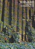 Iceland - Basalt Columns At Kalfshamarsvik - Iceland