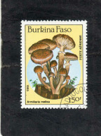 BURKINA FASO : Champignon : Amarilla Mellea (Armillaire Couleur De Miel) - Flore - - Burkina Faso (1984-...)