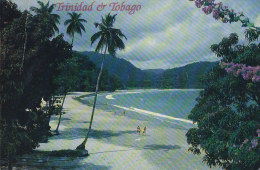 Trinidad & Tobago PPC Las Cuevas, Trinidad 1994 Sent To VALBY Denmark $2 Bird Vogel Oiseau Stamp (2 Scans) - Trinidad