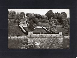 51611      Svizzera,   Kussnacht A. Rigi, Gedachtniskapelle,  Konigin  Astrid Von Belgien,  NV - Küssnacht