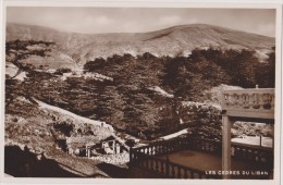 Cpa,les Cèdres Du Liban,mont Lban,cèdre De Dieu,emblème Du Pays,mis Sur Le Drapeau,cedrus Libani,arbre Conifère,rare - Líbano