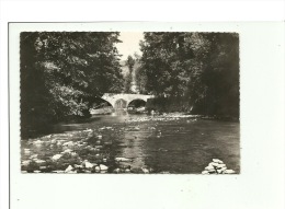 Chanac Le Lot Au Vieux Pont - Chanac