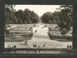 N*  BERLIN * TIERPARK BERLIN * SÜDPARTERRE MIT BLICK IN DIE HAUPTALLEE * 1965 **!! - Dierentuin