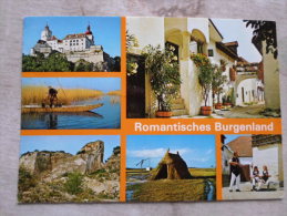 Austria  -Burgenland - Neusiedlersee - Mörbisch - Seewinkel   D126348 - Andere & Zonder Classificatie