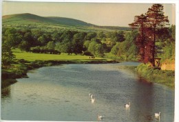 Irlande  The River Nore Beside The Village Of Inistioge Co. Kilkenny  Photo H.B. Cross  BE - Kilkenny