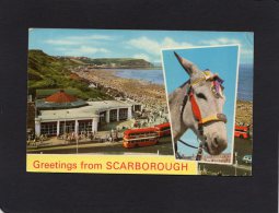 51651    Regno  Unito,   Greetings From  Scarborough,  Corner Cafe And North Bay,  VG  1974 - Scarborough