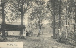Amougies.  - La Ferme Du Christ.   1907 - Kluisbergen