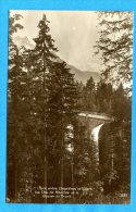 S142, Pont Entre Chesières Et Villars, Dents De Morcles, Glacier Du Trient,  Non Circulée - Morcles