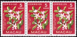 MACAU - 1953,  Flores De Macau,  5 P.   (TIRA)  D. 12   (o)  MUNDIFIL  Nº 383 - Used Stamps