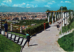 TORINO    PARCO  EUROPA   PANORAMA       (VIAGGIATA) - Parken & Tuinen