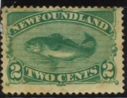 Newfounland. YT 36. - Prince Edward (Island)