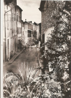 Var - 83 - Bormes Les Mimosas La Rue Carnot Animée Ed Photo Janz Du Pradet - Bormes-les-Mimosas