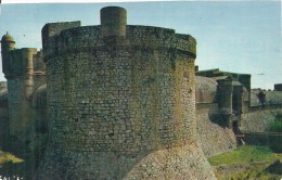 LANGUEDOC ROUSSILLON - 66 - PYRENEES ORIENTALES -SALSES - Château Fort - CPSM PF Couleur Carte Retaillée - Salses