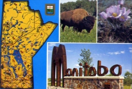 Manitoba - Canada - 52 - Formato Grande Viaggiata - Andere & Zonder Classificatie