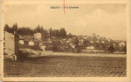 Rhone - Ref 680 - Grigny - Vue Generale - Vigne - Vignes -  Carte Bon Etat - - Grigny