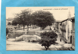 MONTAGNAC-La Promenade Et Ses Grands Escaliers  Animé-a Voyagé  Années 1900-10 - Montagnac