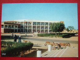 TCHAD - FORT LAMY - HOTEL DE VILLE - - Tsjaad