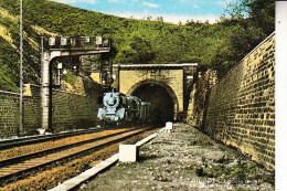 4791 ALTENBEKEN, Dampf-Lokomotive Am Tunnel - Altenbeken