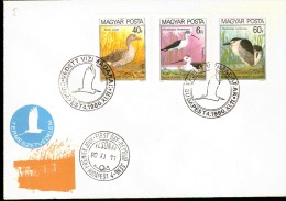 MAGYAR POSTA BUSTA FDC 1980 - Storks & Long-legged Wading Birds