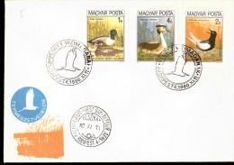 MAGYAR POSTA BUSTA FDC 1980 - Storchenvögel