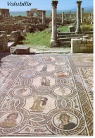 Maroc : Volubilis (ville Romaine) Mosaïque De La Maiosn D'Orhpée (n°394/60 éd Maroc Infini) - Meknès