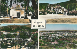 Delcampe - SOUVENIR  De  BLIDA - Blida