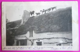 Cpa Forêt Rambouillet Hallali Sur Un Toit à Gambaiseul 1903 Carte Postale 78 Chasse Jagd Hunting - Rambouillet