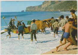 Portugal,portugues,LEIRIA   ,Nazaré,arrasto  Dos Barcos,traine Des Bateaux,pulling Up The Boats,métier,travail D´équipe, - Leiria