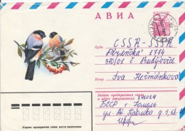 I9558 - USSR / Postal Stationery (1980) Gomel (air Mail - Letter) - Climbing Birds