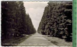 Luftkurort Neuhaus Im Solling - Holzminden