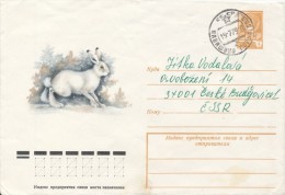 I9562 - USSR / Postal Stationery (1979) Navasino (letter) - Rabbits