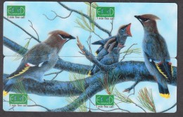 BIRDS VERY INTERESTING PUZZLE 4 CARDS  RARE!!!! - Non Classés