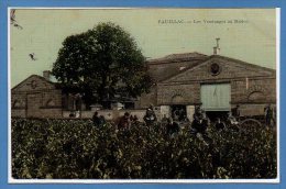 33 - PAUILLAC --  Les Vendanges Au Médoc - Pauillac