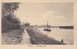 Dieren - Ysselgezicht - Velp / Rozendaal