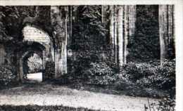 80  ST VALERY SUR SOMME L'Abbaye Ruines De La Chapelle - Saint Valery Sur Somme