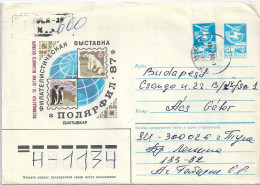 0913 Russia Polar Arctic Antarctica Animal Mammals Bird Addressed - Arctic Wildlife