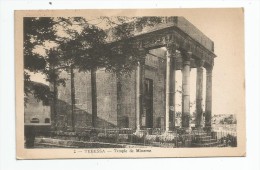 Cp , GRECE , TEBESSA , Temple De MINERVE , Voyagée , Photo : Albert , Alger - Tébessa