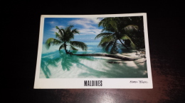 C-29786 MALDIVES ATOLL SPIAGGIA PALME - Maldive