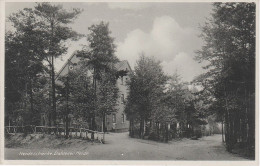 AK Heideschänke Dahlener Heide Gasthaus Mit NS Flagge Bei Dahlen Schmannewitz Reudnitz Wurzen Oschatz Belgern Torgau - Dahlen