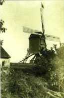 BIERBEEK (Vlaams-Brabant) - Molen/moulin - Verdwenen Standaardmolen Van Daems Ca. 1910 (verplaatst Naar Houthem ~ Komen) - Bierbeek