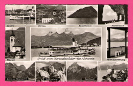 GruB Vom Vierwaldstätter - See - Schweiz - Gersau - Bürgenstock - Flüelen - Seefahrt - Multivues - 1955 - Wald