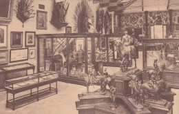 Musée Royal De L´Armée, Bruxelles - Expédition Du Mexique Et Campagne Arabe - Musées
