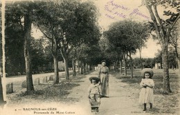 CPA 30 BAGNOLS SUR CEZE PROMENADE DU MONT COTTON 1904 - Bagnols-sur-Cèze