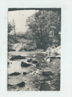 Saint-Didier-en-Velay (43) :Les Bords De La Semène Au Prège   En 1950 PF. - Saint Didier En Velay