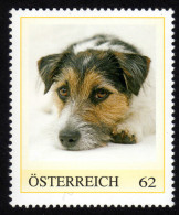 ÖSTERREICH 2011 ** Jack Russel Terrier - PM Personalized Stamp MNH - Sellos Privados