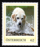 ÖSTERREICH 2012 ** Labrador Retriever - PM Personalized Stamp MNH - Sellos Privados