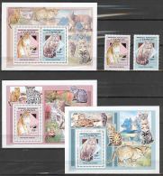 Cats COB 2518/19+BL476/77+BL478 - 2007 MNH - Ungebraucht